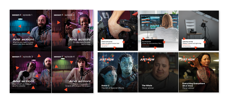 Placeholder for alt text.